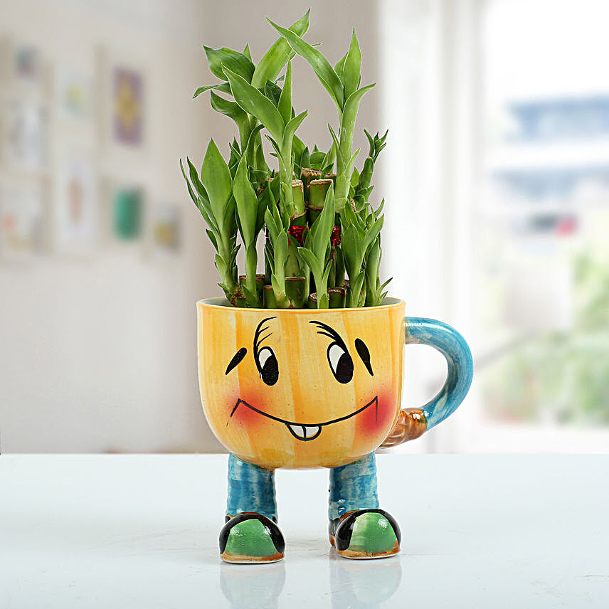 Two Layer Bamboo Plant With Smiley Vase
