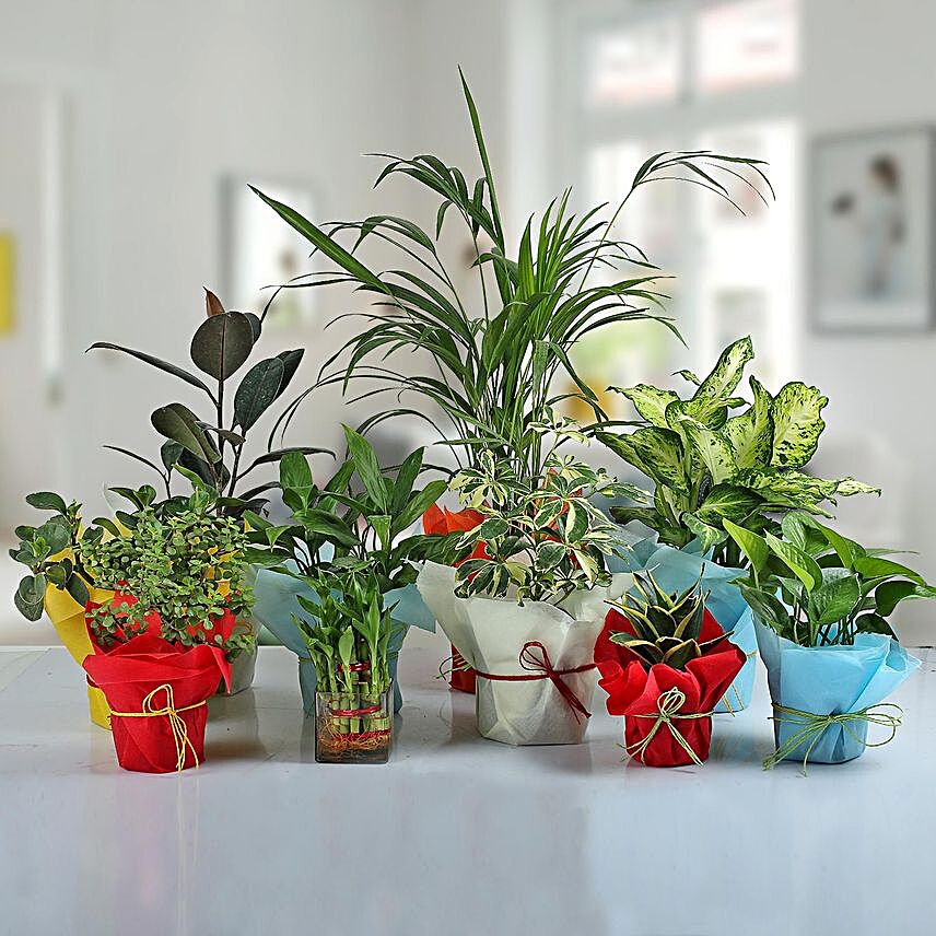 Set of 10 Enchanting Green Plants