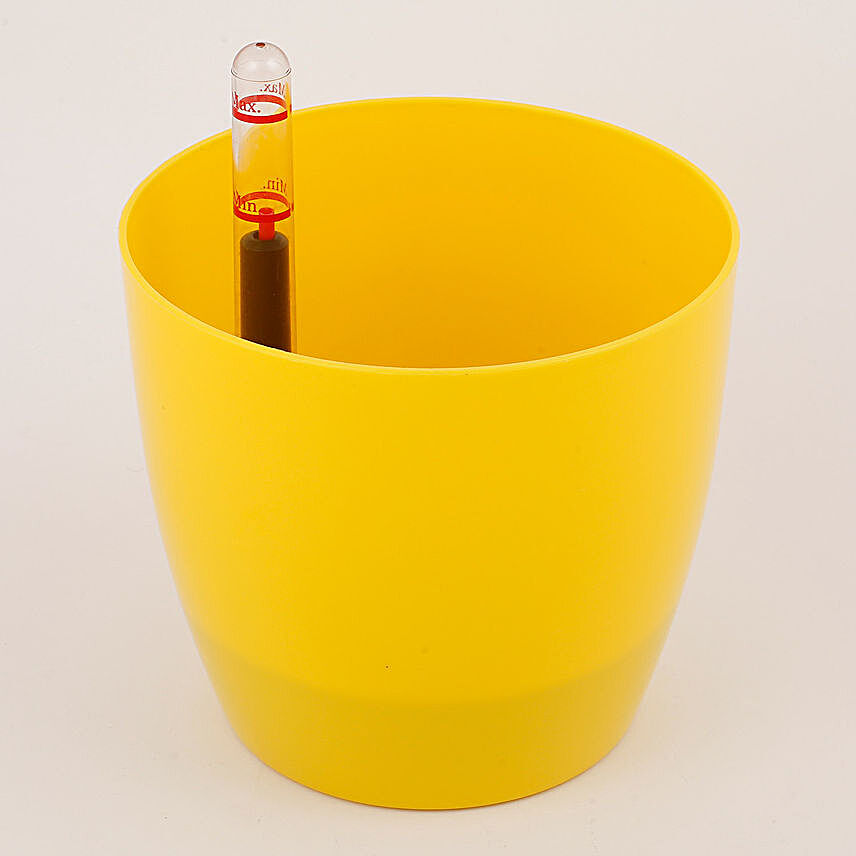Self Watering Imported Plastic Planter Yellow