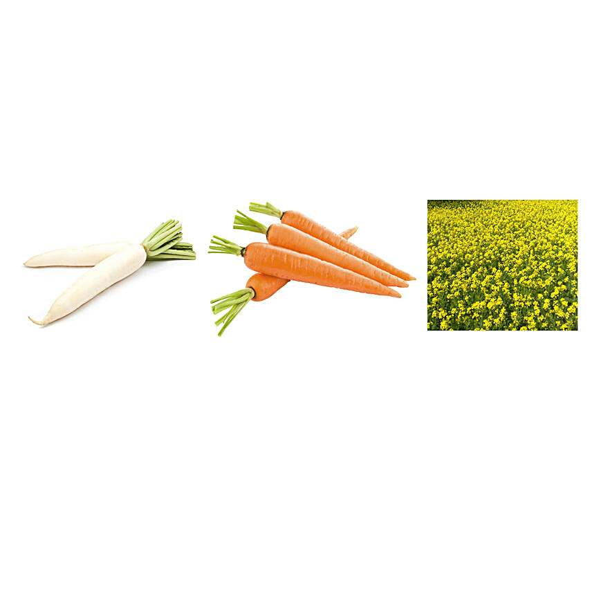 Radish Carrot & Mustard Seeds Combo