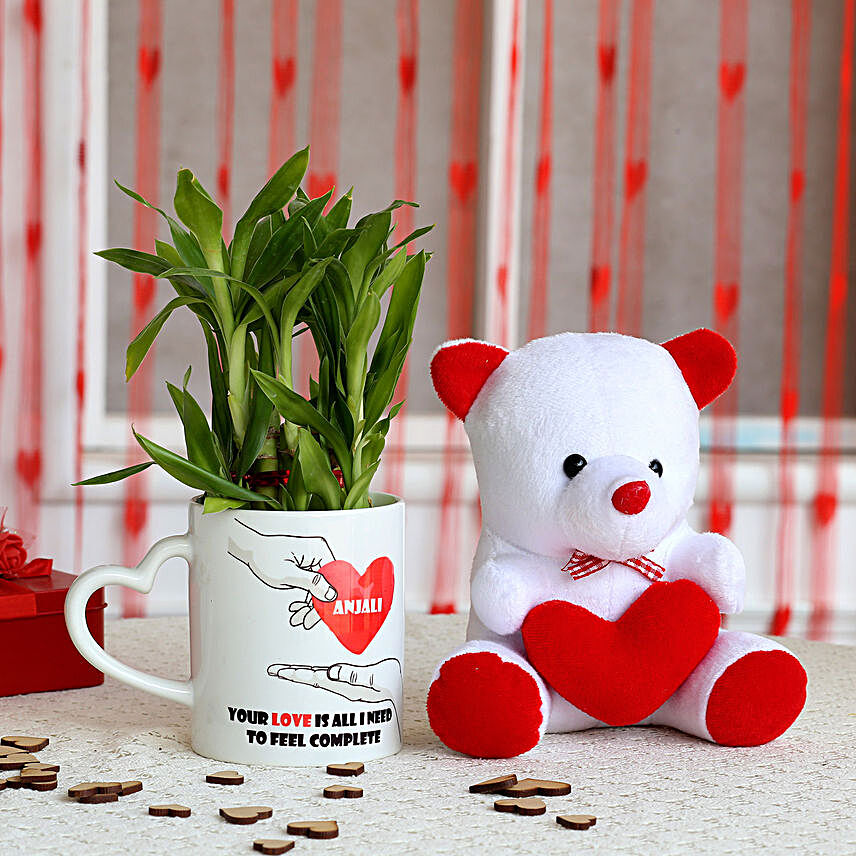2 Layer Lucky Bamboo Plant with Teddy Bear Combo