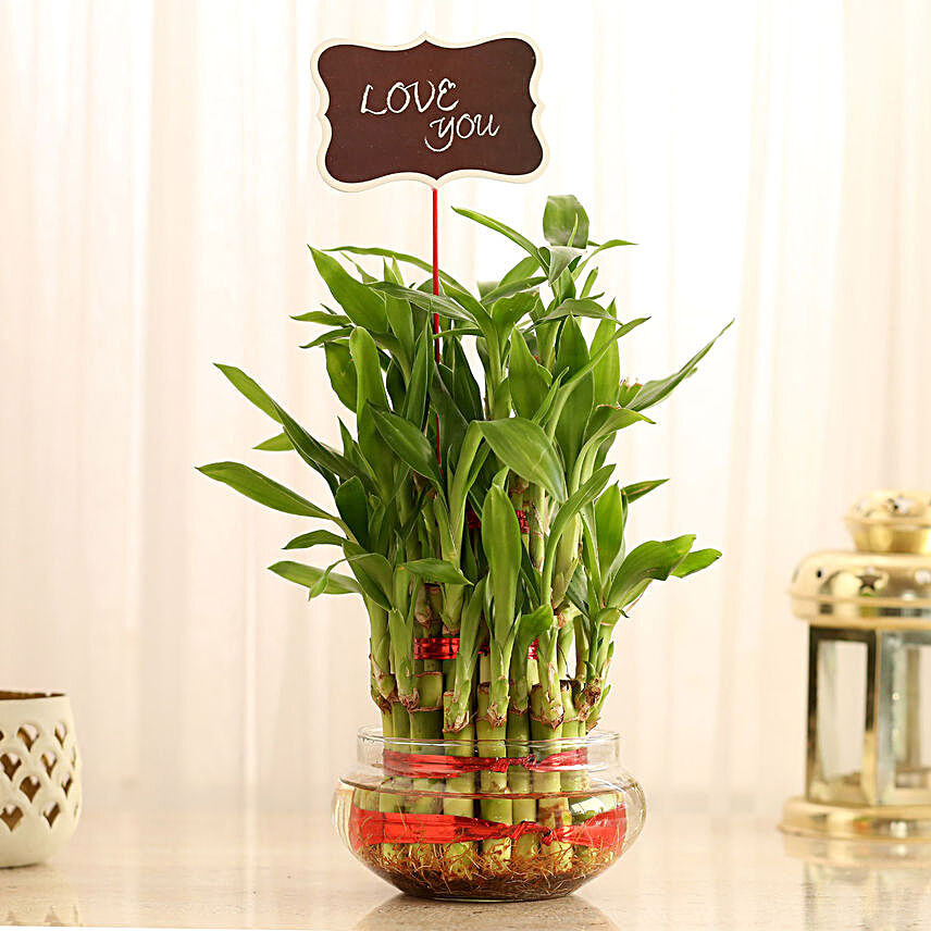 Three Layer Lucky Bamboo With Love You Tag