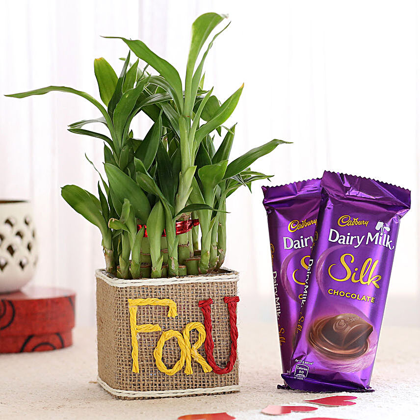 2 Layer Lucky Bamboo In For U Vase With Dairy Milk Silk Chocolates