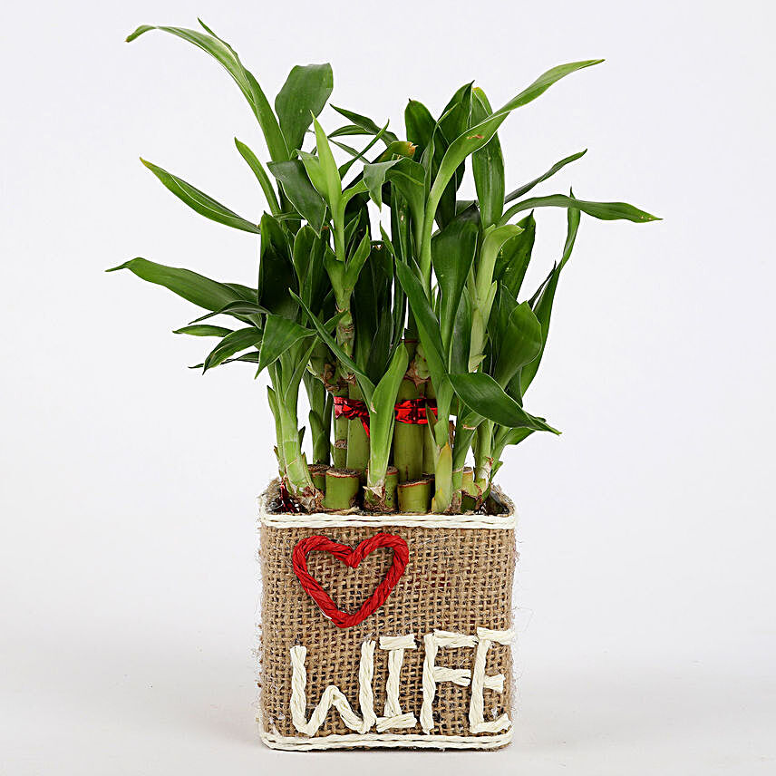 Valentine Special 2 Layer Lucky Bamboo For Wife