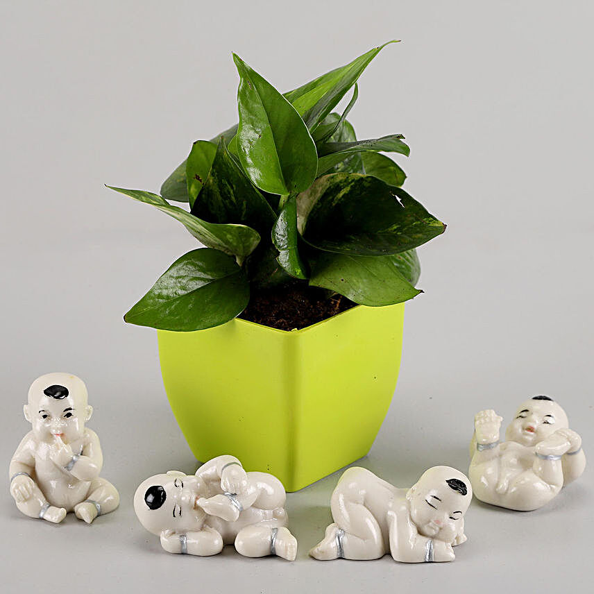 Money Plant in Green Pot & Baby Buddha Combo