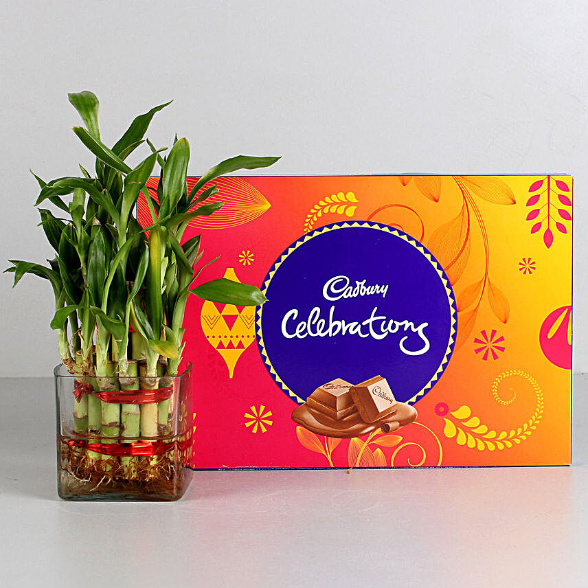 Two Layer Bamboo Plant & Cadbury Celebrations Combo