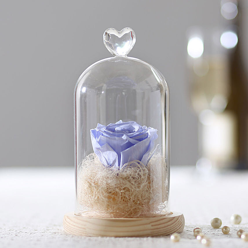 Forever  Lavender Blue Rose In Glass Dome