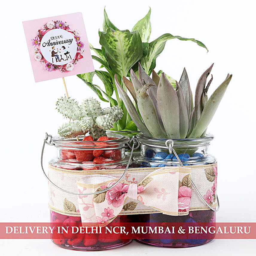 Exotic Plants Combo in Glass Jars For Anniversary