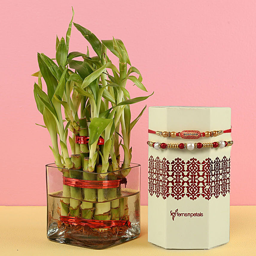 2 Layer Bamboo Plant & Designer Rakhi Set