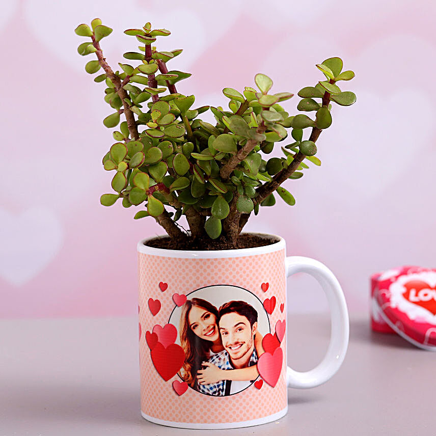 Jade Plant In Personalised Hearts Mug