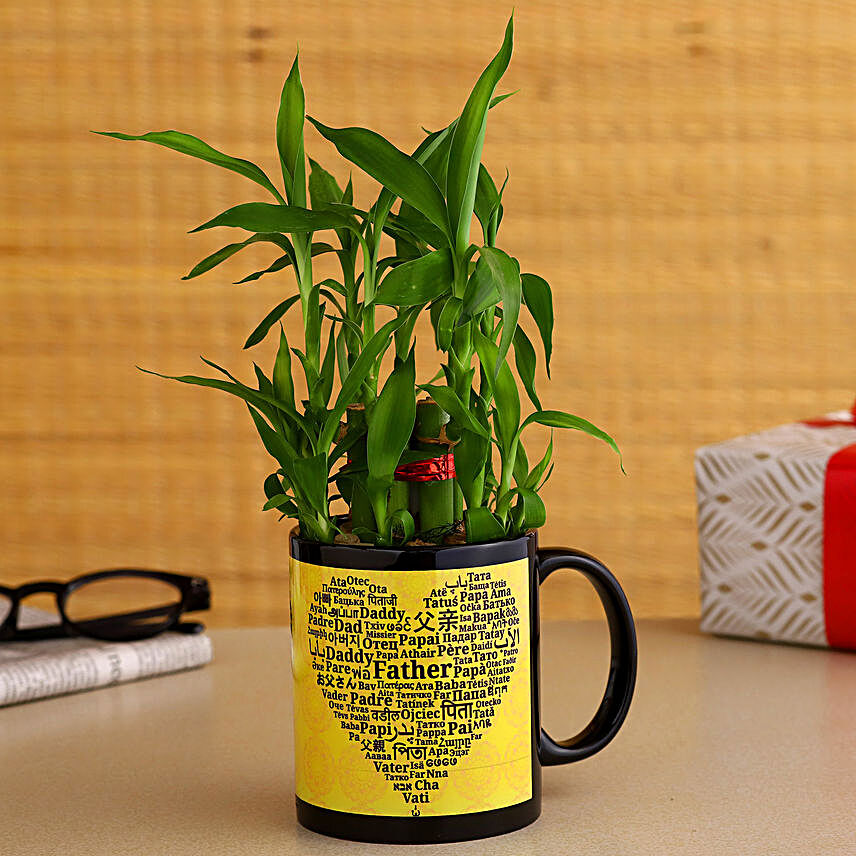 2 Layer Bamboo Plant In Fathers Day Special Ceramic Mug