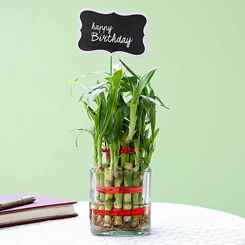 Birthday Wishes 2 Layer Bamboo