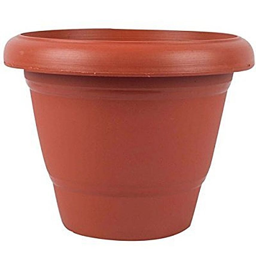 dhavesai plastic potbrown14 in3 pieces