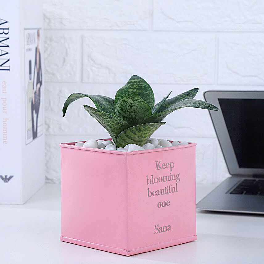 Snake Plant In Personalised Love Grows Here Pot