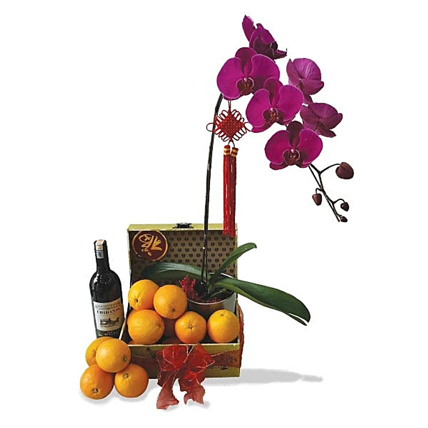 Phalaenopsis Orchid With Merlot Wine