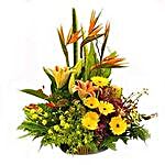 Basket of Mixed seasonal flowers
