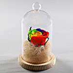 Mystic Forever Rainbow Rose In Glass Dome