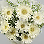 Beautiful 6 White Gerbera Bouquet