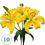 10 Blooms of Yellow Lilies  QAT
