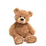 Fluffy Brown Medium Teddy Bear