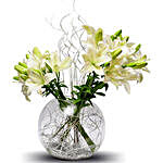 White Asiatic Lilies In Fish Bowl