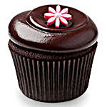 12 Chocolate Squared Cupcakes by FNP