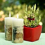 Lucky Bamboo With Scented Candle by FNP