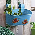 Blue Fish Tub Planter