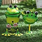 Dual Frog Planter