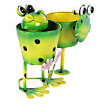 Dual Frog Planter