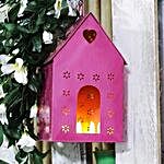 Pink Bird House