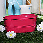 Pink Oval Planter