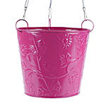 Pink Hanging Bucket Planter