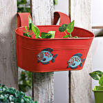 Red Fish Tub Planter