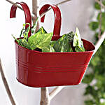 Red Oval Railling Planter
