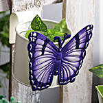 White Butterfly Planter