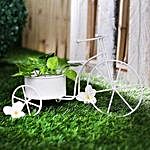 White Cycle Planter