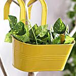 Yellow Oval Hanging Planter