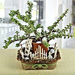 Jade Plant Special Art