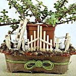 Jade Plant Special Art