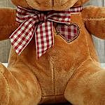 Brown Teddy Bear