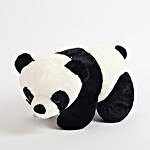 Black N White Panda