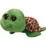 Zippy Turtle