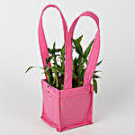 Carry Lucky Bamboo In Style