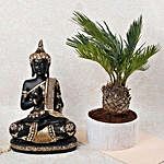 Decorative Cycus Plant With Lord Buddha