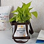 Stylish Money Plant For Mothers Day
