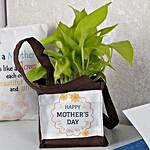 Stylish Money Plant For Mothers Day