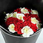 Red N White Carnations Bunch