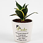 Special Fathers Day Milt Sansevieria Plant