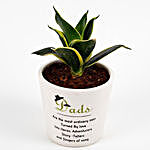 Special Fathers Day Milt Sansevieria Plant